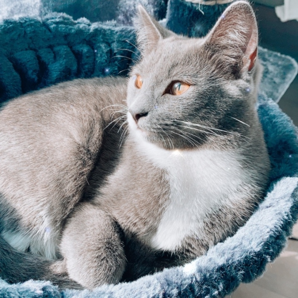 Meet your Posher, Leila